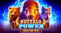 Buffalo Power